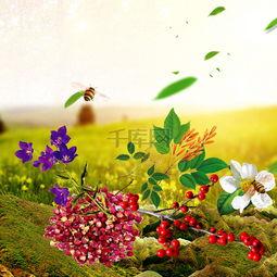 草地植(zhi)物花卉(hui)食(shi)品促(cu)銷主圖設計(ji) 千(qian)庫(ku)網(wang)免(mian)費PSD素材(cai)推(tui)薦