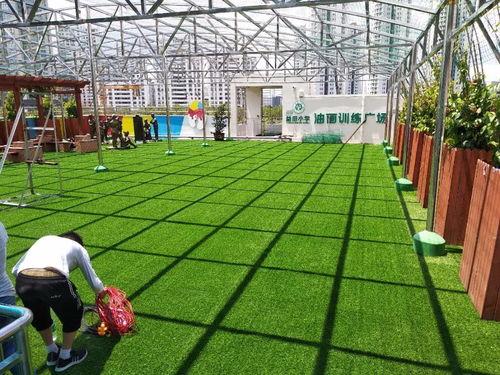 深(shen)圳(zhen)仿真(zhen)草(cao)坪植物墻(qiang)花(hua)草(cao)綠(lv)植裝飾工廠(chang)直銷環(huan)保(bao)低(di)碳上(shang)門安裝