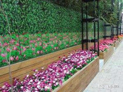 花卉(hui)園藝師(shi)證(zheng)報(bao)考(kao)指南(nan) 報(bao)名(ming)流(liu)程、考(kao)試內(nei)容及(ji)費(fei)用(yong)全解(jie)析(xi)