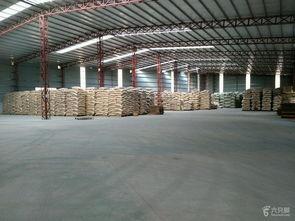 龍花食品(pin)廠(chang)看(kan)現(xian)場 當工(gong)業遇(yu)見(jian)花卉(hui)